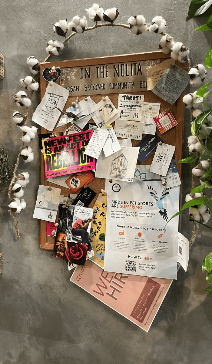 A flyer about our NYC bird sale ban initiatives hanging on a bulletin board.