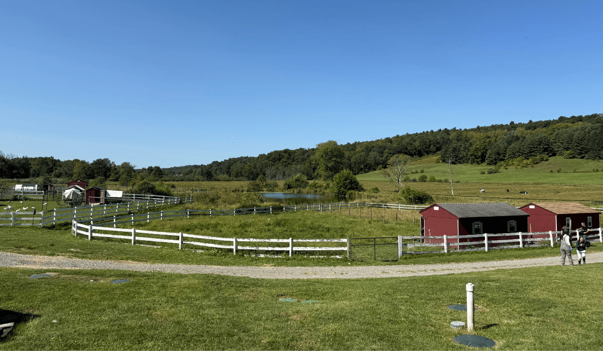 Tamerlaine Sanctuary & Preserve, NJ