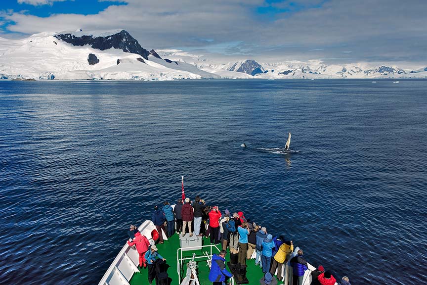 A group of people on a boat whale watching.