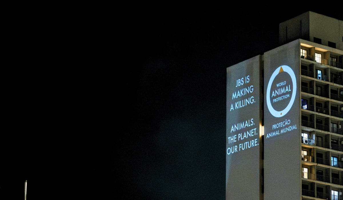 Building projections in Brazil for the JBS campaign.