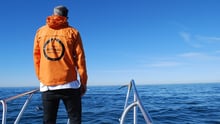 Dolphin watching Dana Point