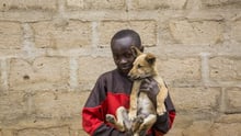 5 ways dogs can help your mental health