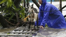 A resident reinforces his flooded home at the height of Super Typhoon Haima which lashes Narvacan township, Ilocos Sur province, Philippines - World Animal Protection