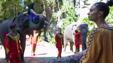 Alesha Dixon at wildlife tourist attraction - Wildlife. Not entertainers - World Animal Protection