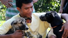 Man with two dogs