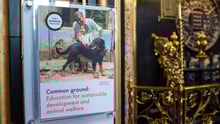 Common Ground: Education for Sustainable Development and Animal Welfare
