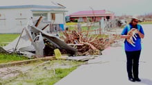 Hurricane Irma Barbuda cats