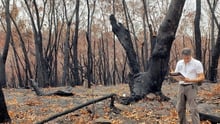 Australia bushfire