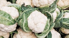 Roasted cauliflower and lentil rice bowl recipe