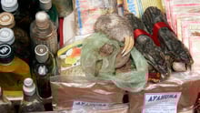Unidentifiable wild animal parts are piled onto other, everyday commercial goods in Peruvian market.