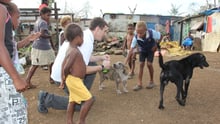Our team feeds Snoopy and Blackie in Port Vila, Vanuatu