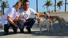 Dog adoption and rescue Rio 2016 Olympics
