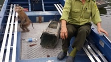 The rescue team in a boat with the two macaques