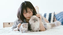 A woman lying down with her two cats
