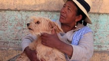 Herlinda and Luna, her dog. Puno, Perú. World Animal Protection has been giving a workshop to local school teachers on dog bite prevention.