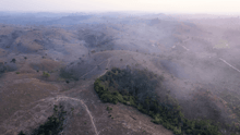 Deforestation in the Amazon rainforest.