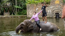 A tourist poses on an elephant.
