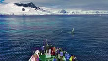 A group of people on a boat whale watching.