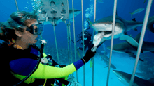 A scuba diver tourist feeding a shark in the ocean.