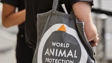 A World Animal Protection employee wearing World Animal Protection merchandise.