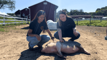 World Animal Protection team members Nicole Barrantes and Kara King at Tamerlaine Farm Sanctuary & Preserve, petting a pig who is lying on the grass.
