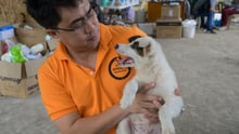 WAP team member with a puppy.