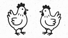 An illustrated graphic of two black outlined chickens facing each other on a white background.
