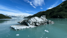 Disenchantment bay in Alaska.