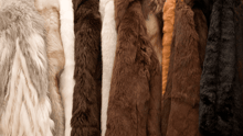 A rack of fur coats backstage at a fashion show.
