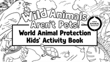 Kids activity book hero image.