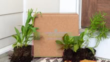 Garden for Wildlife plants on a person's doorstep.