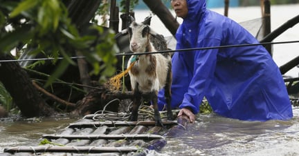 A resident reinforces his flooded home at the height of Super Typhoon Haima which lashes Narvacan township, Ilocos Sur province, Philippines - World Animal Protection