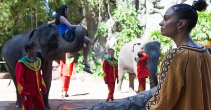 Alesha Dixon at wildlife tourist attraction - Wildlife. Not entertainers - World Animal Protection