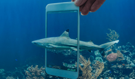 A graphic designed image of a shark swimming in the ocean, with an iPhone overlayed on top.