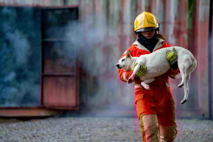 A firefighter rescuing a dog from a burning building.