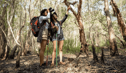 Two women bird watching in a forest.