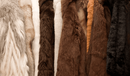 A rack of fur coats backstage at a fashion show.