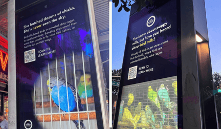 World Animal Protection bird mill ads on a LinkNYC display.