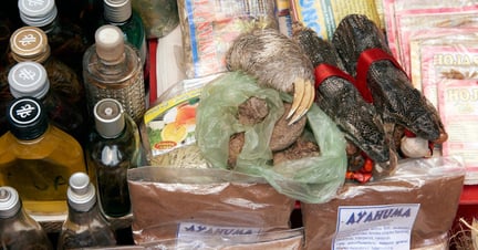Unidentifiable wild animal parts are piled onto other, everyday commercial goods in Peruvian market.