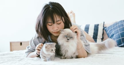 A woman lying down with her two cats
