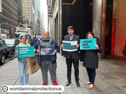 united for respect and world animal protection employees petitioning with signs in front BC Partners NYC office. 