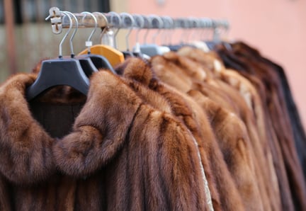 Fur coats hanging on a clothing rack.