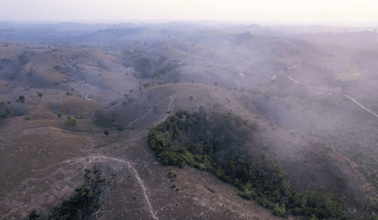 Deforestation in the Amazon rainforest.