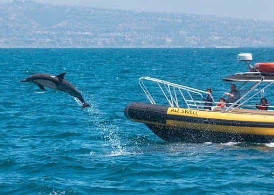 Dana Point Whale Heritage Area