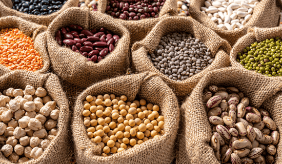 A collection of various beans in burlap sacks.