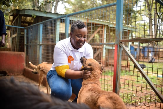 WAP employee visiting dogs at a shelter.