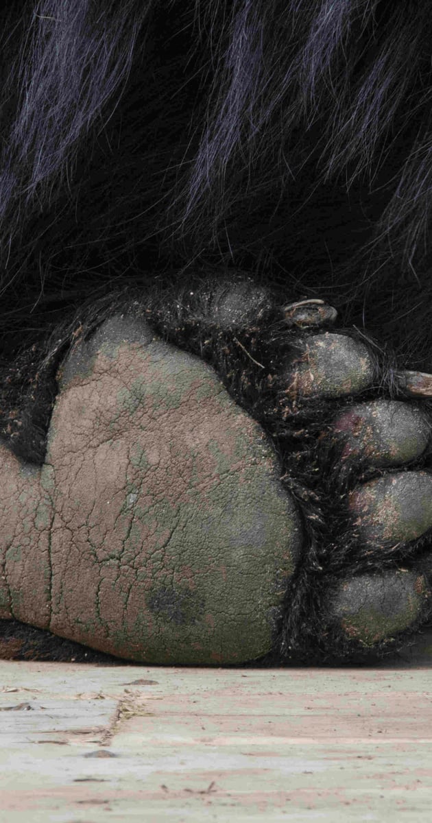 Long Island Zoo Responsible for Horrible Animal Abuse