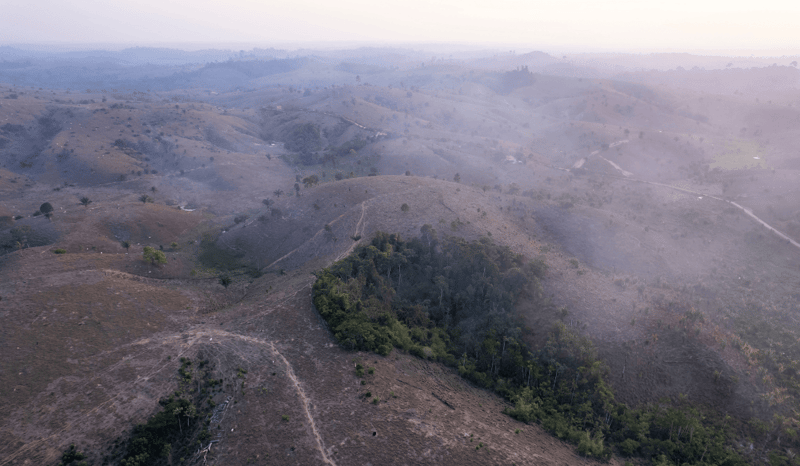 Deforestation in the Amazon rainforest.