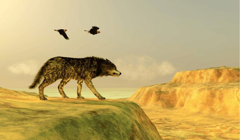 An illustrated of a dire wolf walking in the wild.