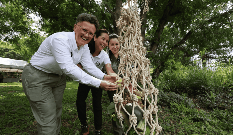 World Animal Protection team members at Phitsanulok Elephant Sanctuary in Thailand.